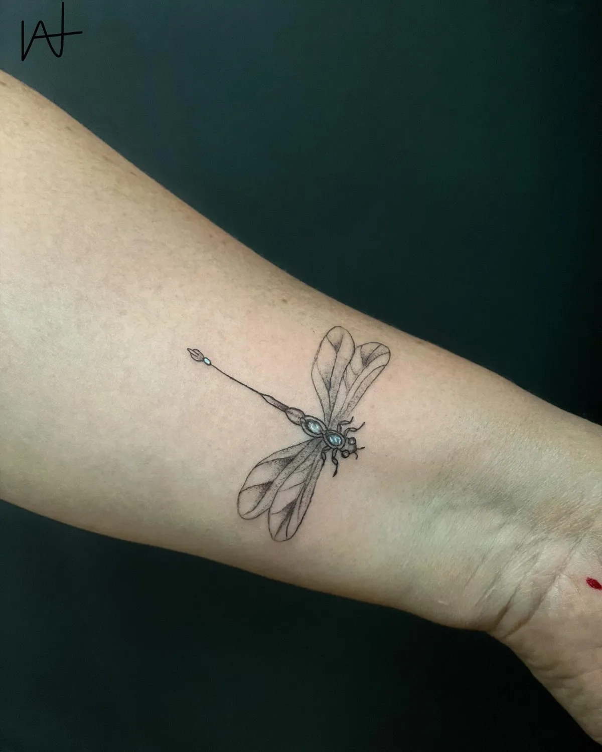 Fine Line tattoo by Katherine Parada at Golden Child Tattoo in Escondido