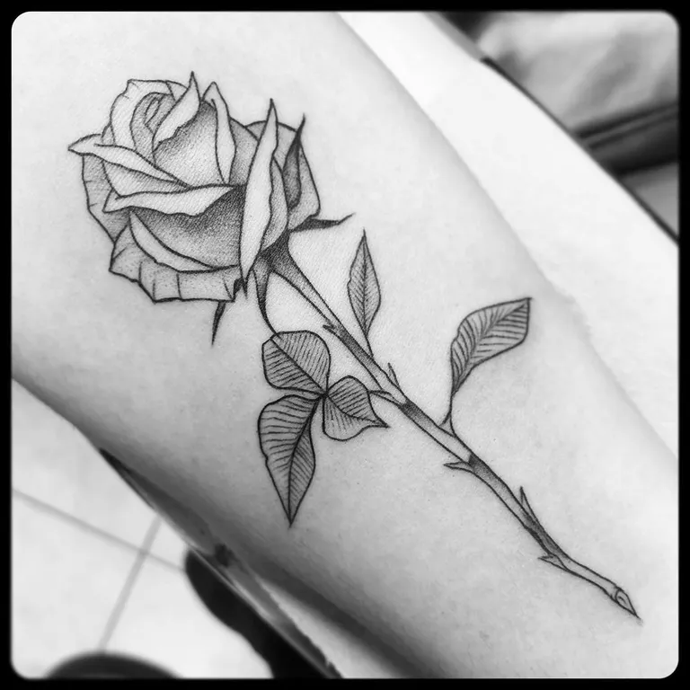 Illustrative tattoo by Nick Crawford at Golden Child Tattoo in Escondido
