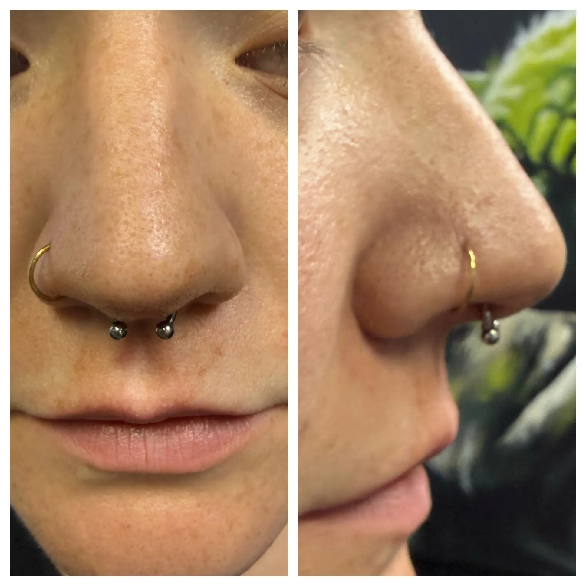 Septum piercing by Wheels at Golden Child Tattoo in Escondido